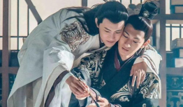 汉哀帝董贤电视剧,宫廷权谋与爱情纠葛